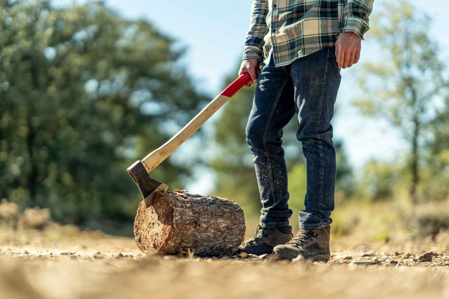 The Steps Involved in Our Tree Care Process in Duncan, OK